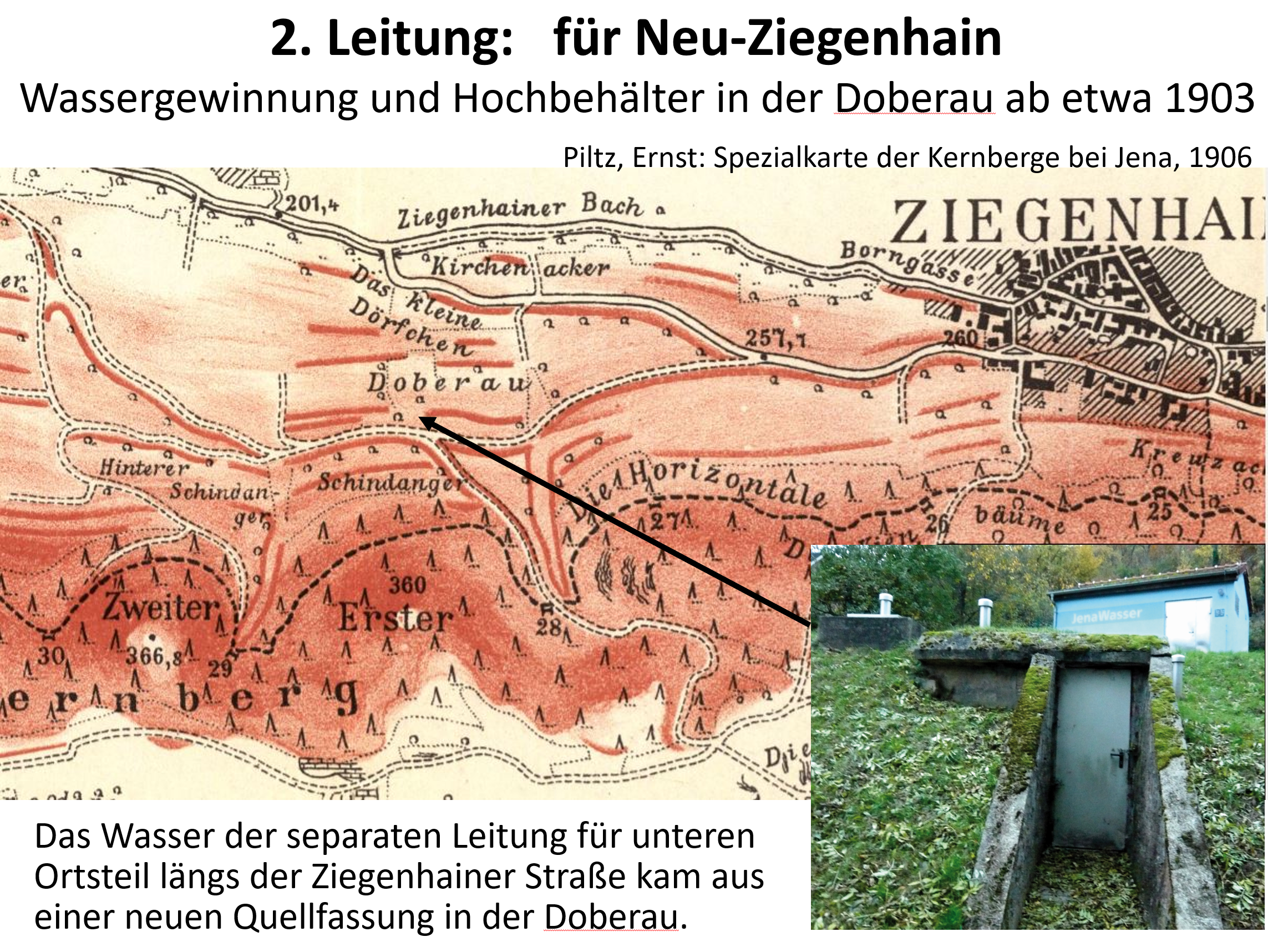 Weiden