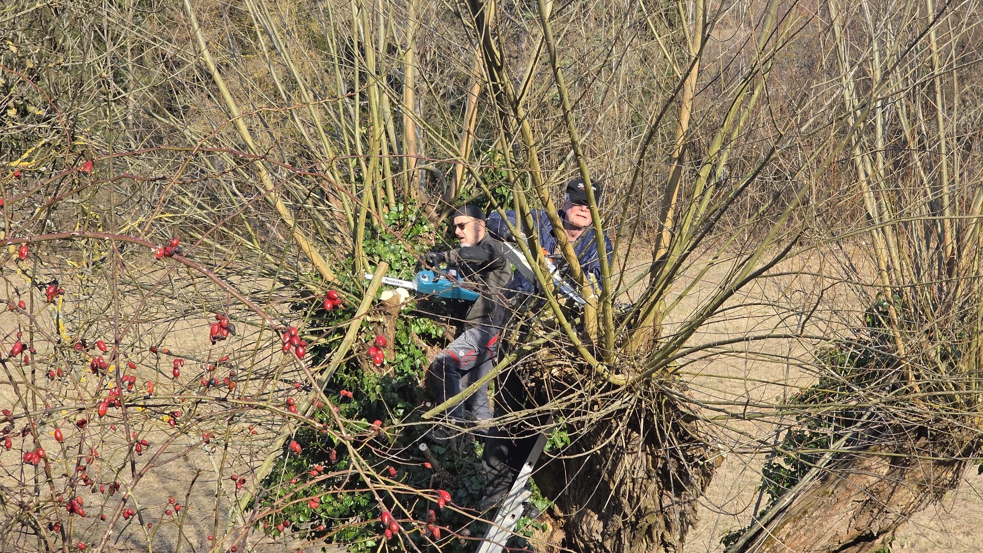 Wüstung Töpersdorf